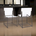 Dino Dining Chair Set of 2, Clear Acrylic Seat, Back, Black Nickel, 18 Inch